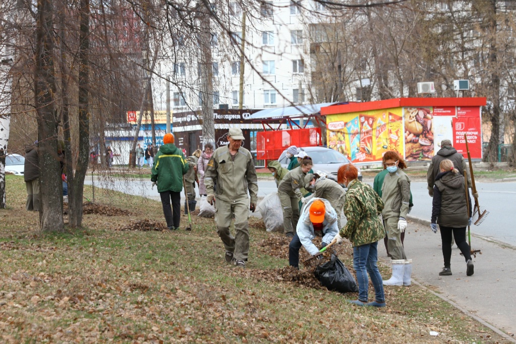 ������� ��������CAMC7519.jpg